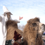 Qyzyljar Sabantui пройдет в Петропавловске