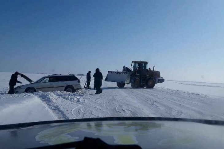 Косуля едва не стала причиной ДТП в СКО