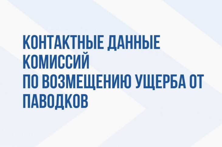 Контакты комиссии по возмещению ущерба опубликовали в Сети