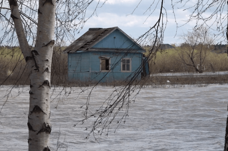 Дачники Петропавловска просят о помощи