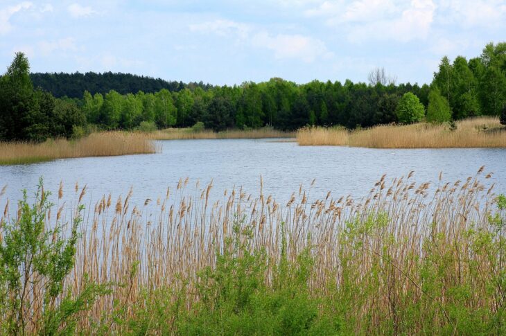 В сёлах СКО нет альтернативных источников водоснабжения