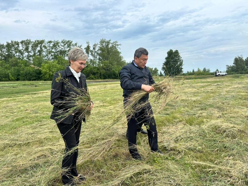 Соцобъекты строят в селах Мамлютского района СКО