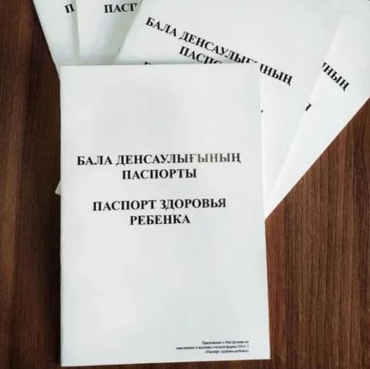 Паспорта здоровья детей Петропавловска переведут в цифру