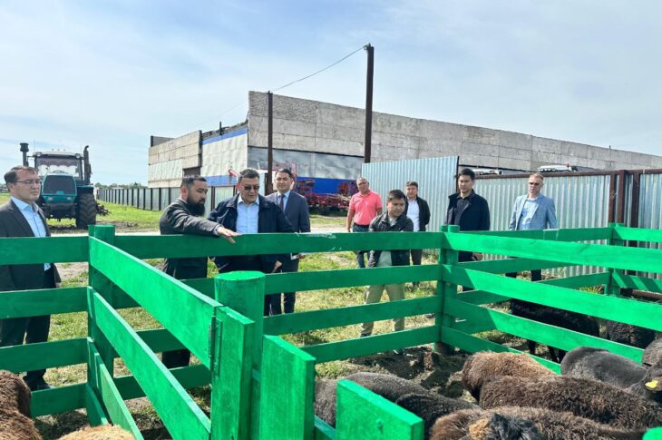 Строят МТФ, дороги и решают вопрос питьевой воды в СКО