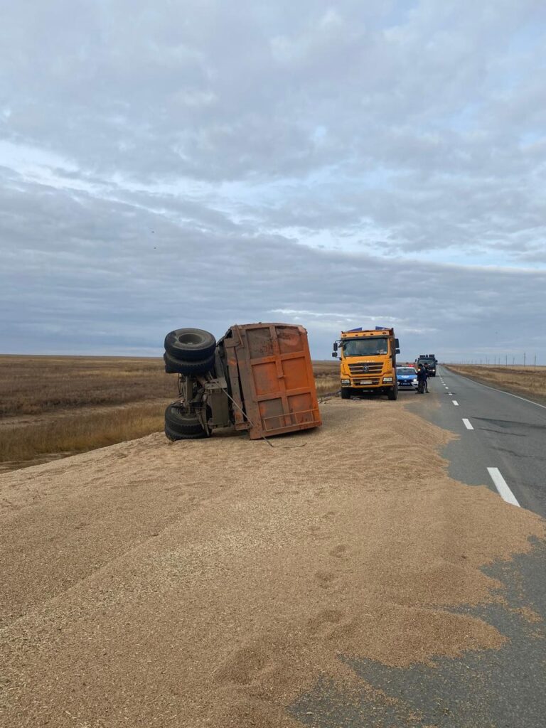 Прицеп с зерном опрокинулся на трассе в СКО