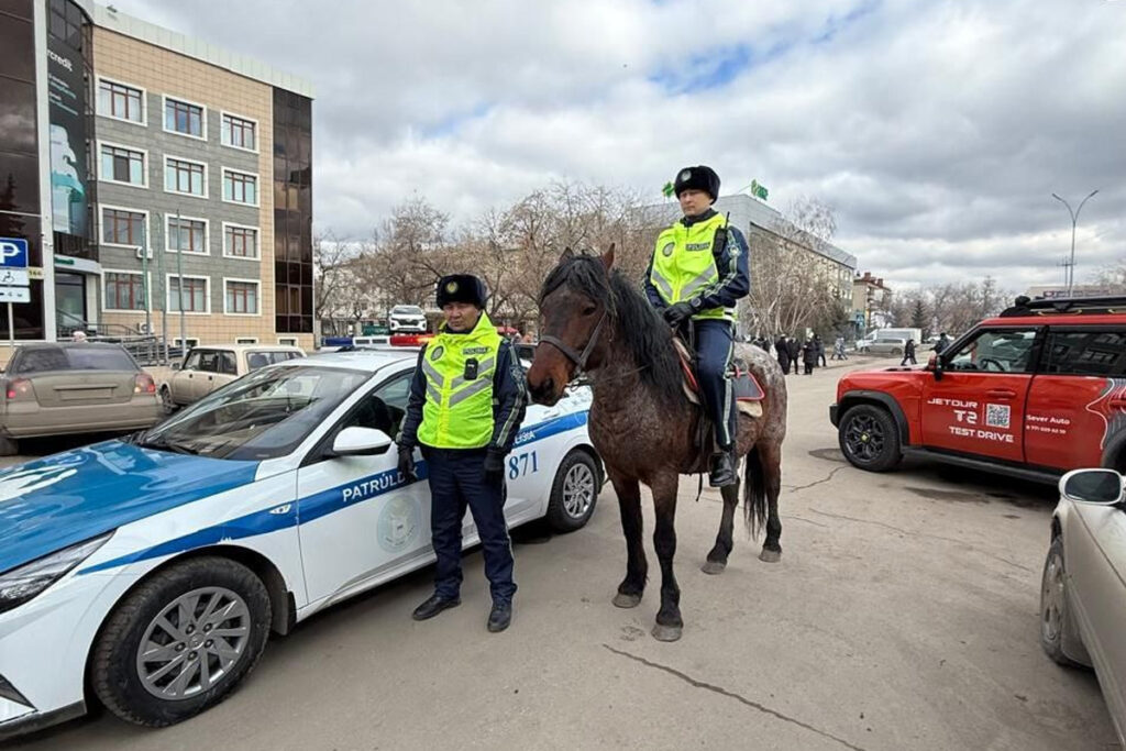 Как прошли праздничные дни в СКО