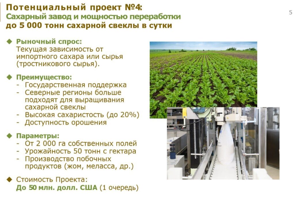 Сахарный завод построят в СКО