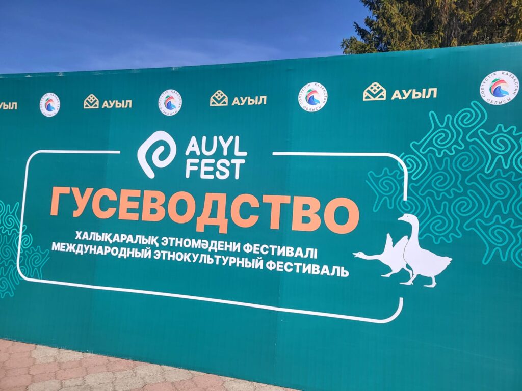 Первый фестиваль «Auyl Fest. Гусеводство» прошел в СКО