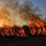 Уберегли от огня село спасатели СКО