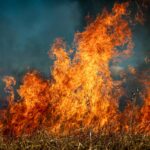 Сухая растительность несет угрозу Петропавловску