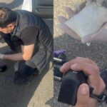 Свыше 600 гр наркотиков нашли полицейские СКО в авто