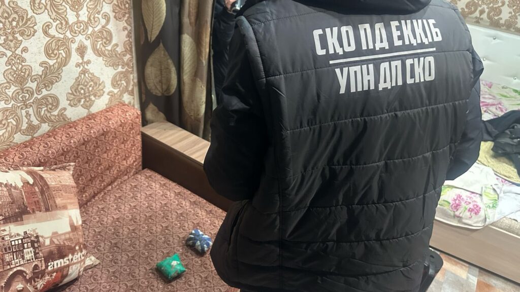 Жителя столицы задержали с наркотиками в Петропавловске