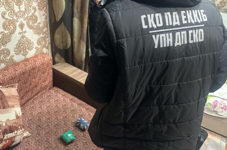 Жителя столицы задержали с наркотиками в Петропавловске