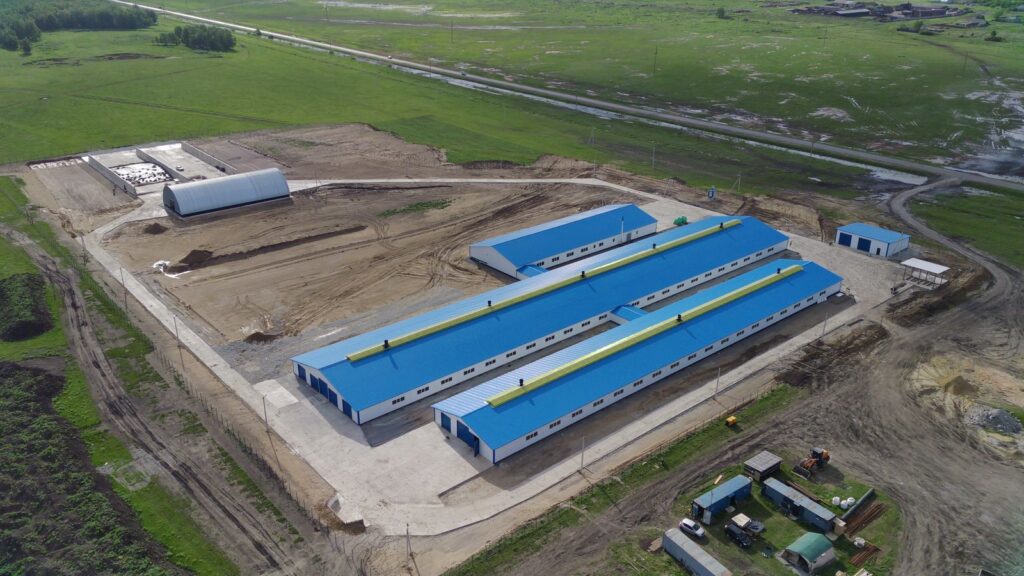 Новую молочную ферму откроют в Жамбылском районе СКО