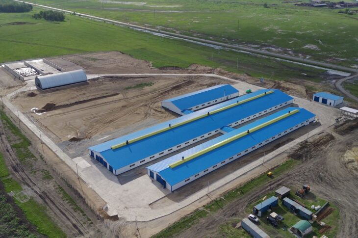 Новую молочную ферму откроют в Жамбылском районе СКО