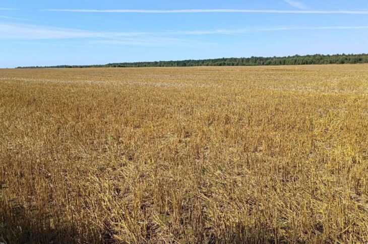 Земли на ₸30 млрд вернули государству в СКО