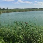 Жители Бесколя пожаловались на пруд-накопитель: экологи провели проверку