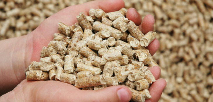 Завод по производству корма из люцерны запустят в СКО