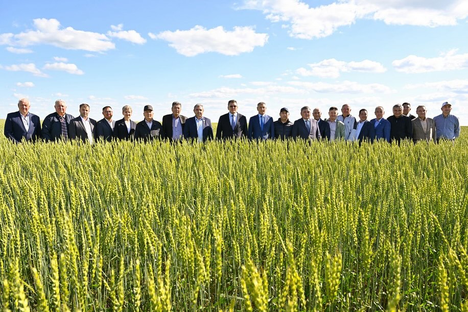 День поля провели перед уборкой в СКО