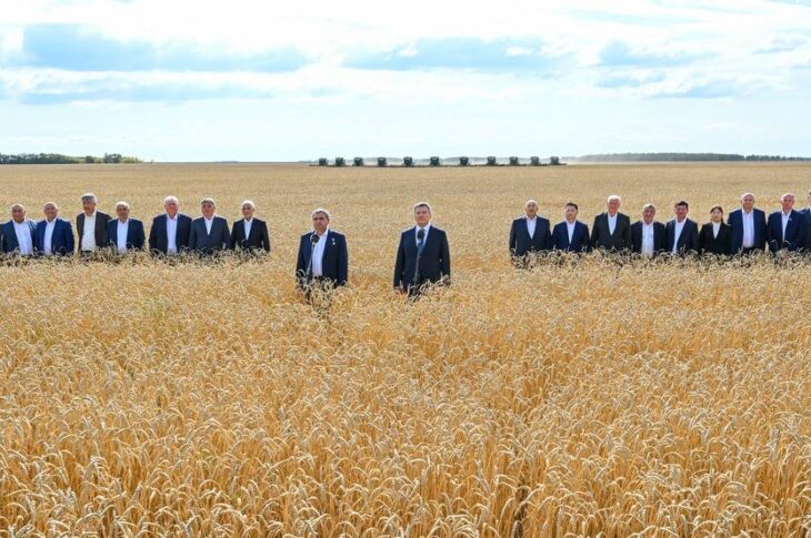 Аким СКО отчитался об уборочной кампании Президенту