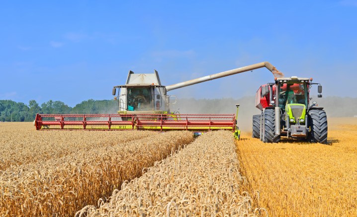 В СКО убрали 55% посевного клина