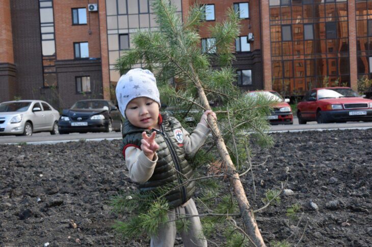 Аллея спасателей появилась в Петропавловске
