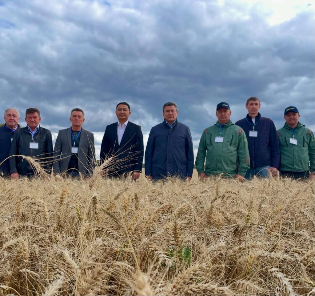 Треть урожая убрали в Жамблыском районе СКО