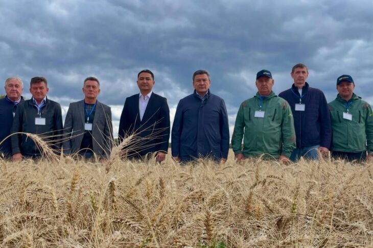 Треть урожая убрали в Жамблыском районе СКО