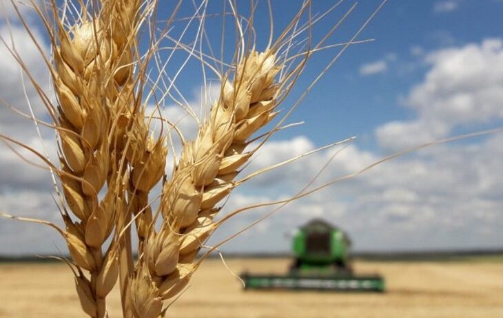 Аграрии СКО намолотили 3,2 млн тонн зерна