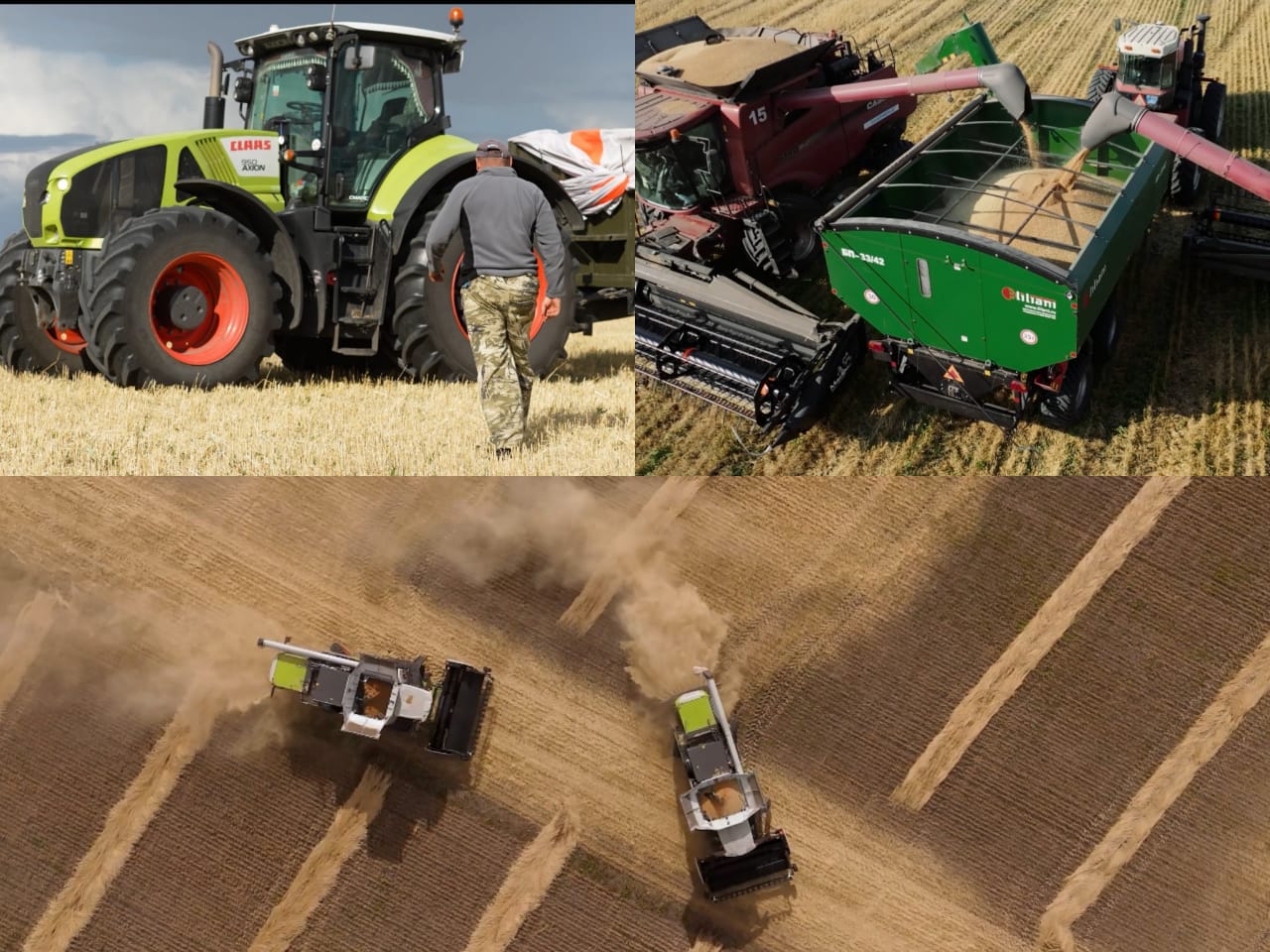 Уборка в СКО: какие результаты урожая ожидают специалисты в регионе