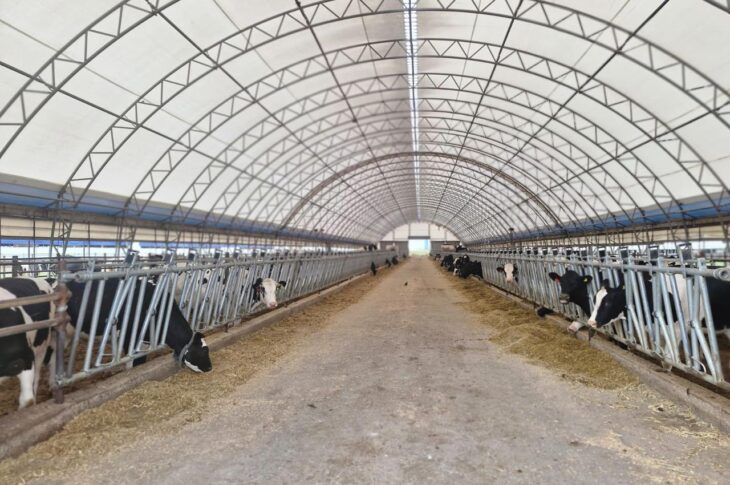 Молочную ферму модернизировали в Тайыншинском районе