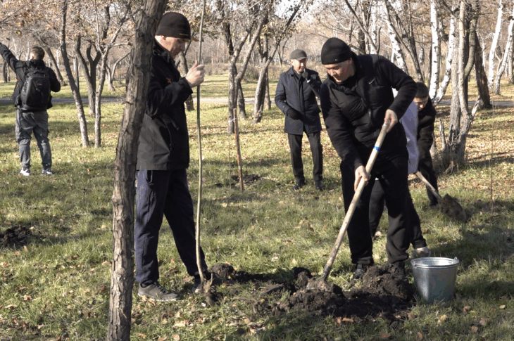 В парке Петропавловска высадили аллею ив