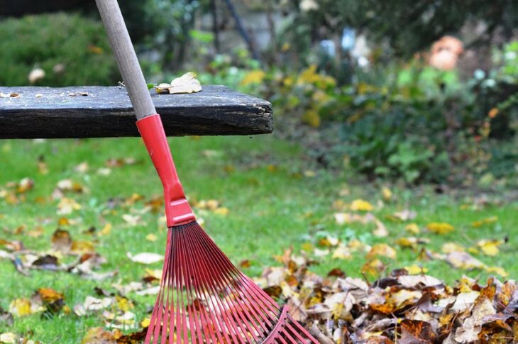 В Петропавловске проведут общегородской субботник