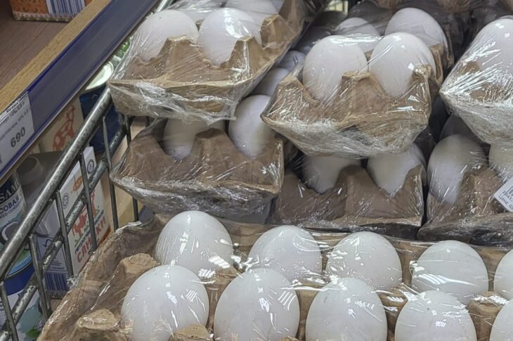 Где в Петропавловске купить дешевые продукты