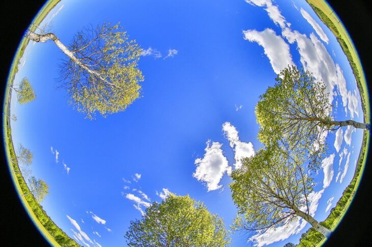 Озеленение Петропавловска передадут ботаническому саду