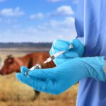 В СКО выявлены факты приписок при вакцинации животных