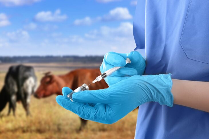 В СКО выявлены факты приписок при вакцинации животных