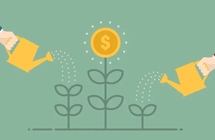 Миллиарды в СКО: во что инвесторы готовы вкладывать деньги