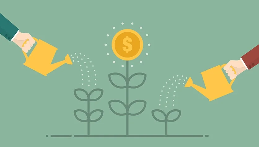 Миллиарды в СКО: во что инвесторы готовы вкладывать деньги