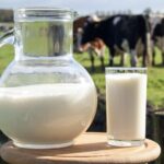 Долю производимого в СКО молока планируется увеличить до 70%