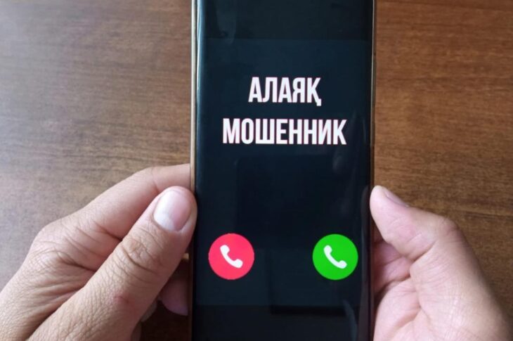 Мошенники-«работники Egov» украли у петропавловца более ₸5 млн