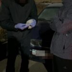 516 грамм гашишного масла изъяли у петропавловца