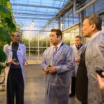 «Зеленый Север» расширит производство до 4,5 тысяч тонн