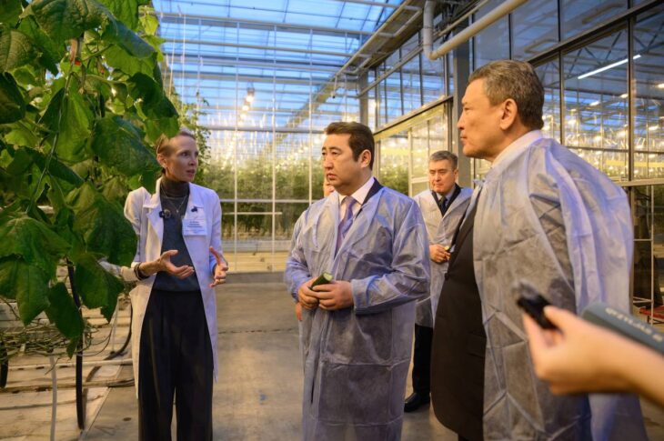 «Зеленый Север» расширит производство до 4,5 тысяч тонн