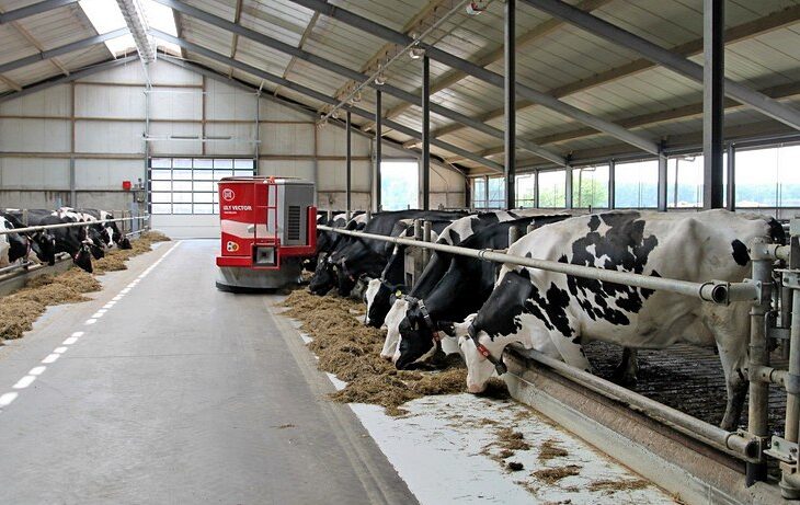 Эксперимент СКО с сахарной свёклой и «умными фермами» может перевернуть продовольственный рынок Казахстана