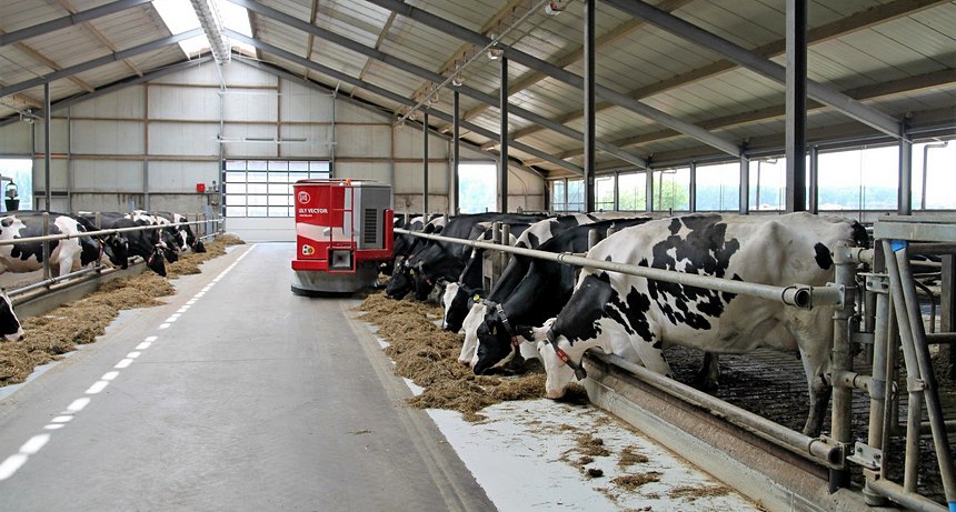 Эксперимент СКО с сахарной свёклой и «умными фермами» может перевернуть продовольственный рынок Казахстана