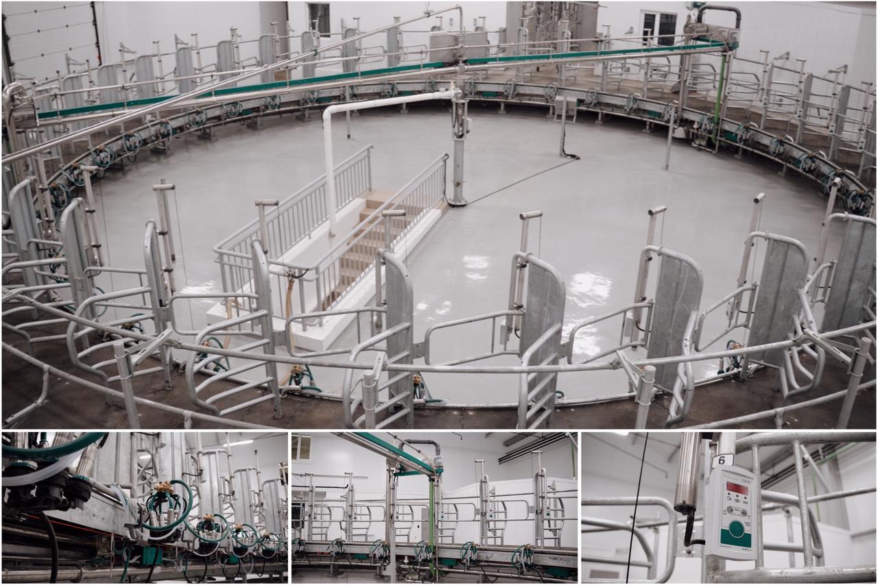 Немецкие голштины прибыли в СКО