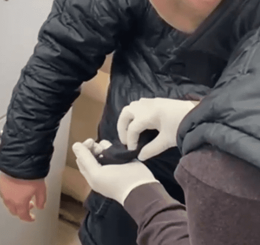 Новый канал поставки «синтетики» пресекли в Петропавловске