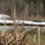 До 17 градусов тепла ожидается в СКО