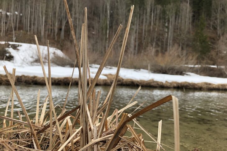 До 17 градусов тепла ожидается в СКО